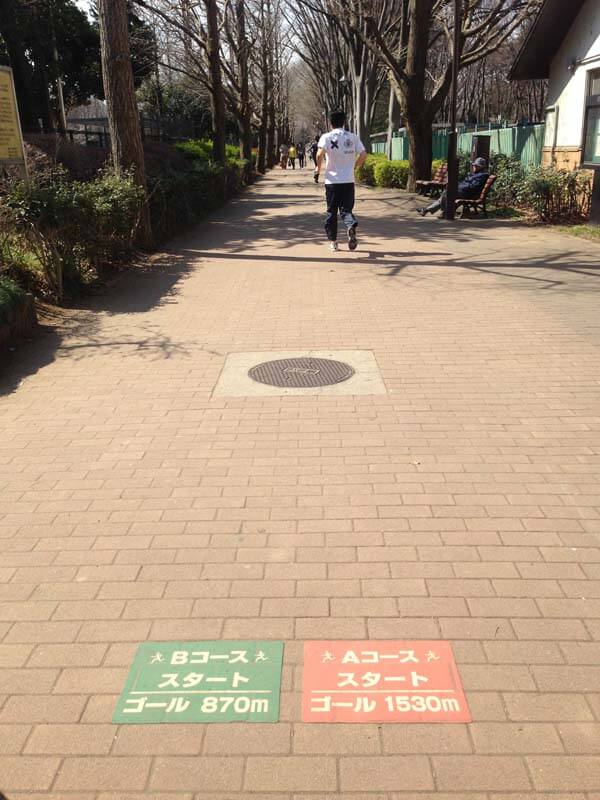 出典:http://www.sportsone.jp/running/course/johokucentralpark.html