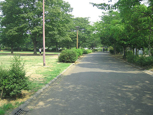 出典:http://www.tokyo-park.net/1310801002_06.html