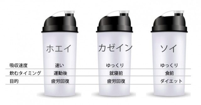 プロテインの種類