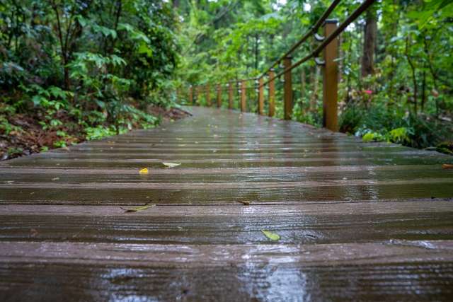 雨の日のランニングコース
