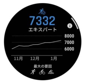 ガーミンの持久力スコア
