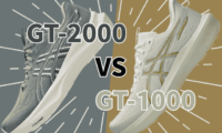 GT-2000とGT-1000の違いの比較
