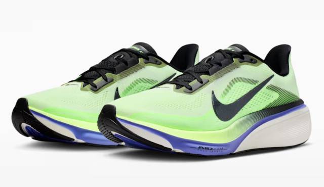 ナイキ ペガサス42