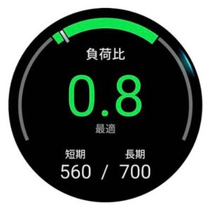 ガーミンの負荷比